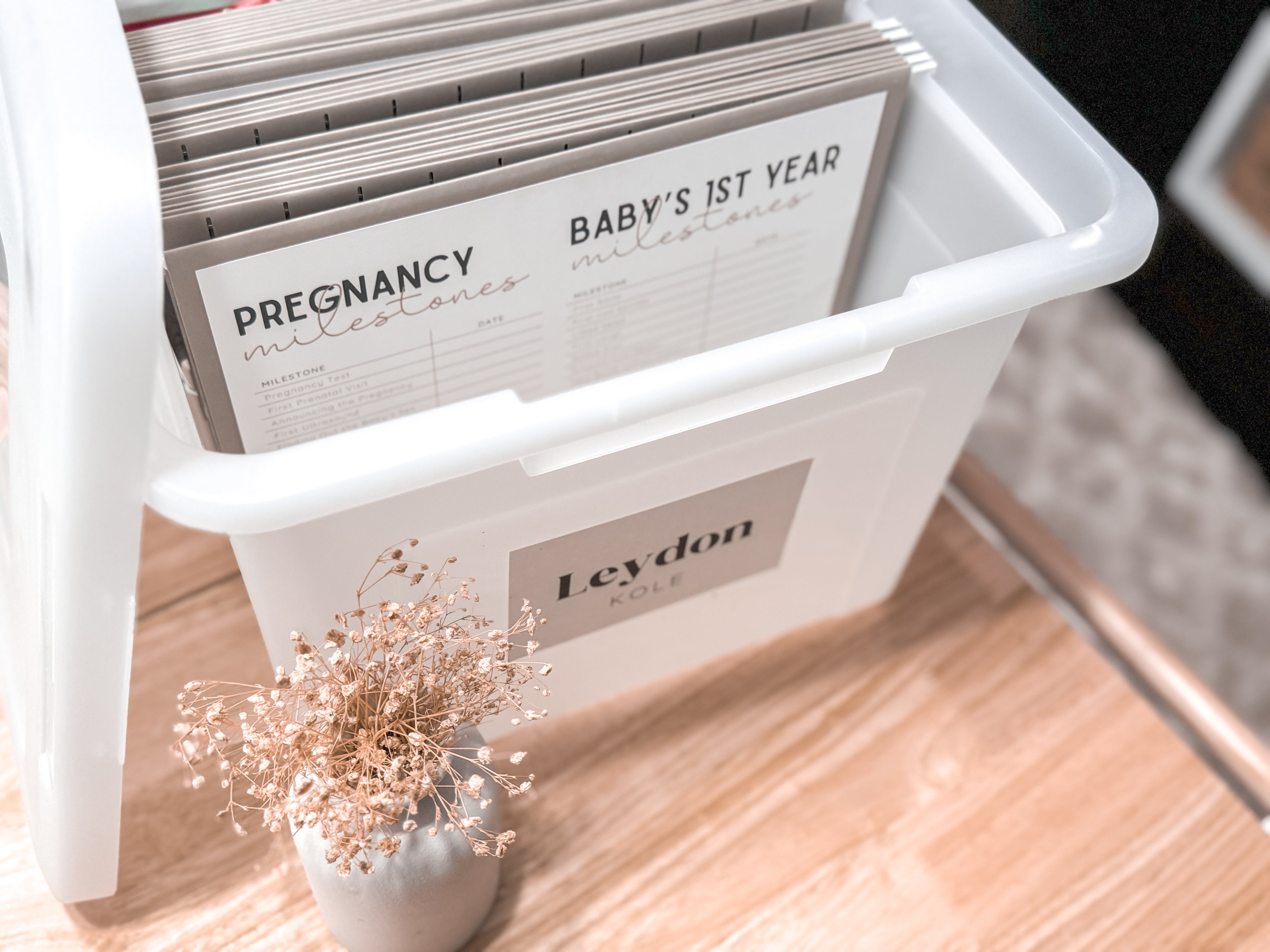 Pregnancy Milestones | Memory Box | Baby Keepsake | Baby Shower Gift | Gifts for Mom | File Box Cover Pages for Kids Baby&